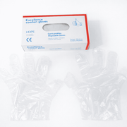 Disposable HDPE Gloves 500pcs