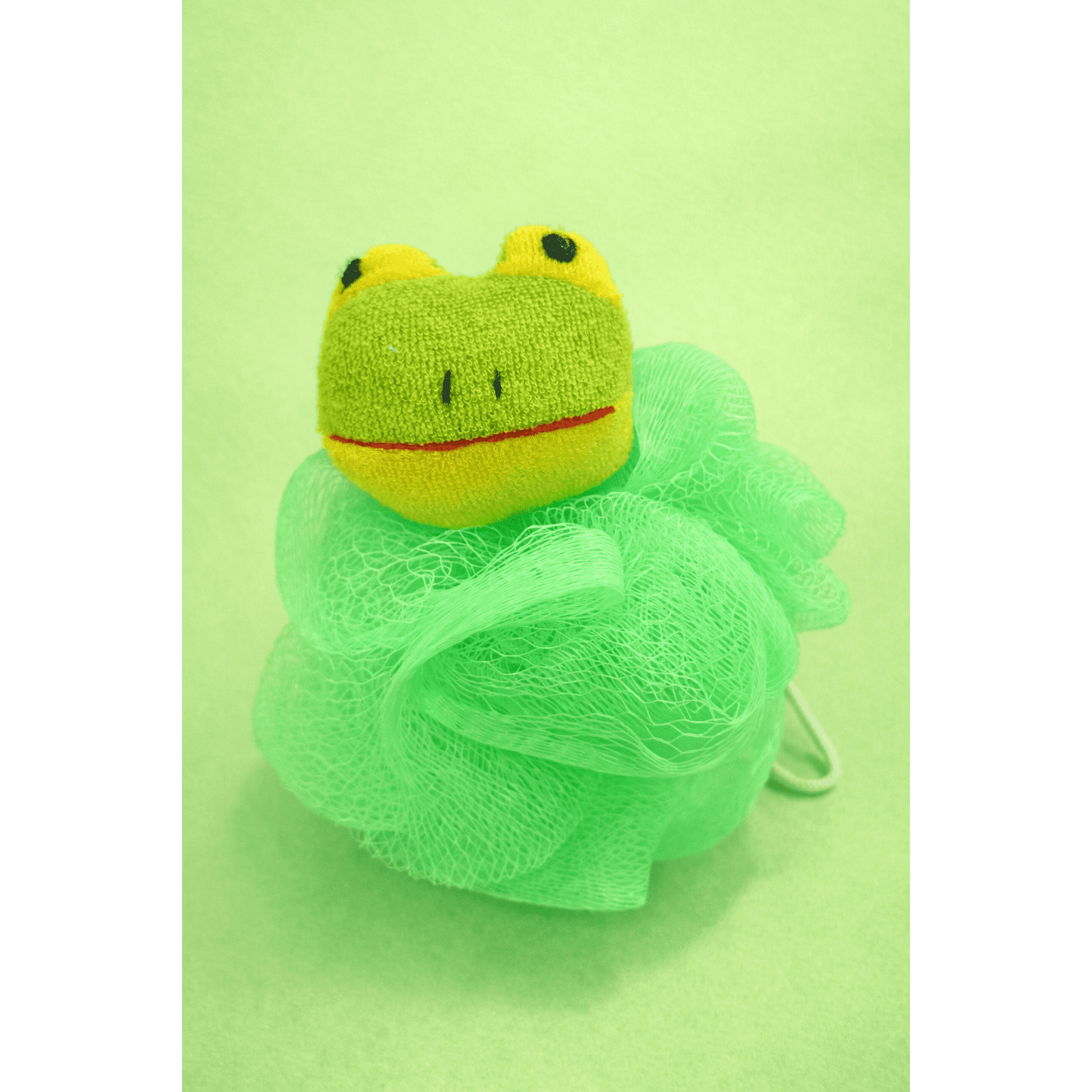 Bath Loofah Sponge (Frog Design)