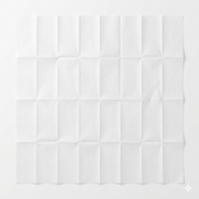Premium Disposable Grid-Textured Hygienic Towels 1 Pcs (Large)